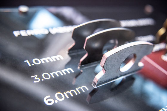 Machine de découpe laser de tôle métallique à haute précision rapide pour Raylaser 3015 4020